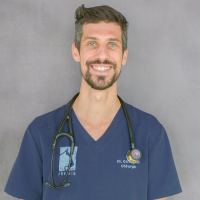 Dr Gougeon - Docteur Vétérinaire